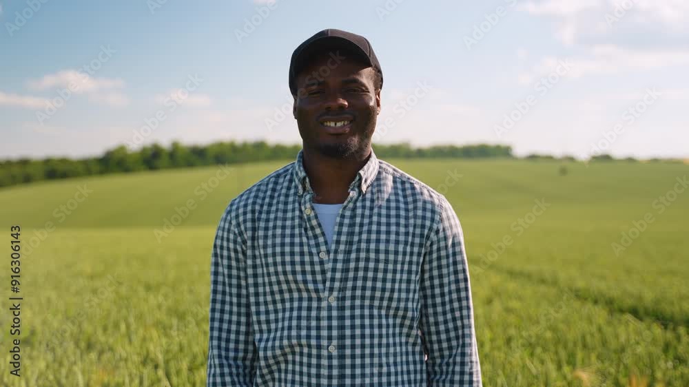 Young farmer standing in a green wheat field examining crop Young farmer standing in a green wheat field examining crop