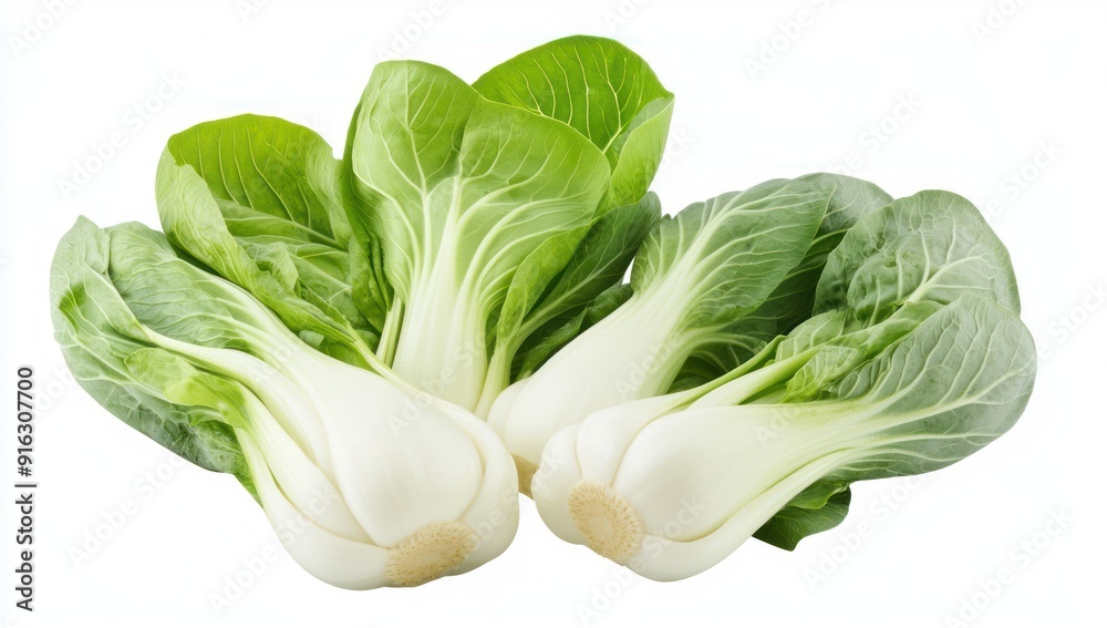 Fresh Bok Choy on White Background Fresh Bok Choy on White Background