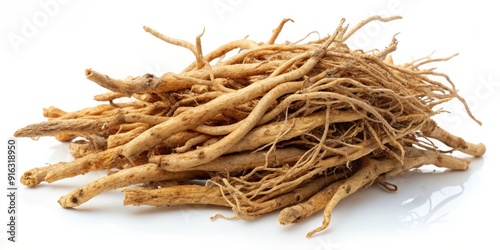 Scutellaria Root on a white background, Scutellaria, Root, Chinese medicine, Herbal remedy photo