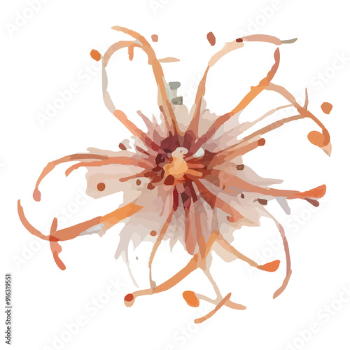 Watercolor-style flower with swirling petals in orange, brown, and white.