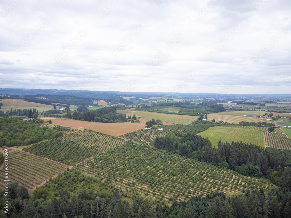 A large field of trees with a cloudy sky in the background A large field of trees with a cloudy sky in the background