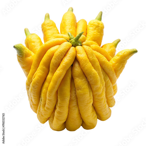 Buddha s hand fruit Isolated On Transparent Background photo