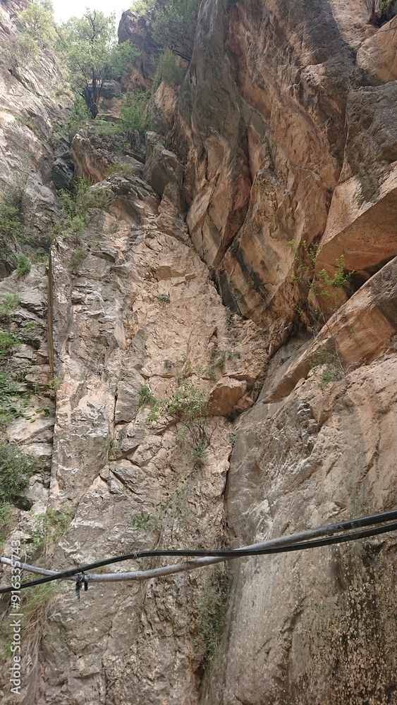 Fototapeta premium Rocky Gorge with Flowing Stream