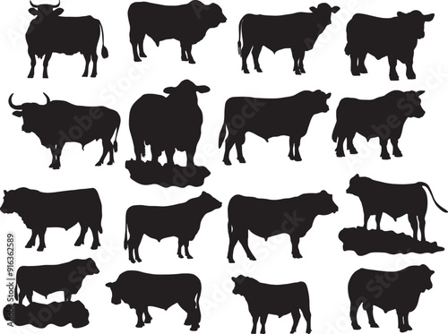 Print Angus Bull EPS;  Angus Bull Vector, Cricut file, EPS;  Silhouette, Cuttable Design,  Eps Designs; Angus Bull bundle