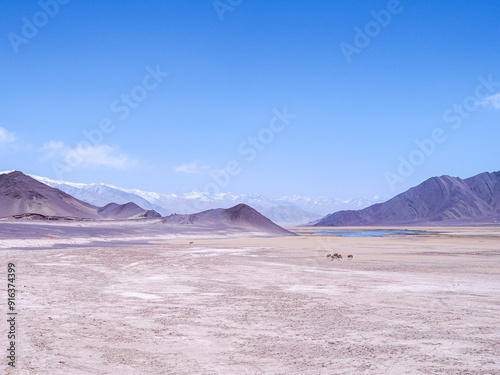 landscape with mountain and cold desert 