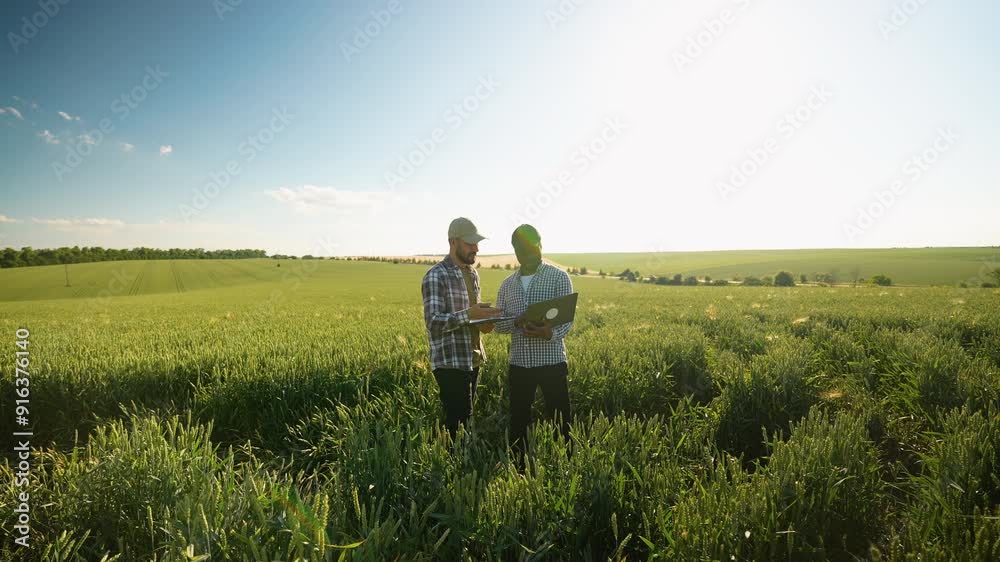 Two diverse farmers with laptop standing in green wheat field examining crop Two diverse farmers with laptop standing in green wheat field examining crop
