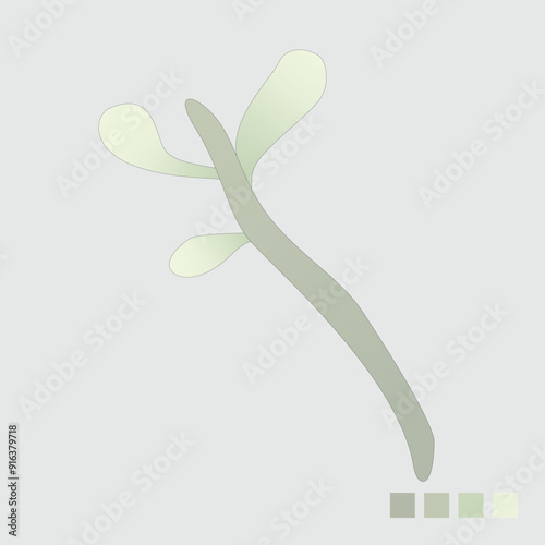 Tree leaf vector illustration with color palette