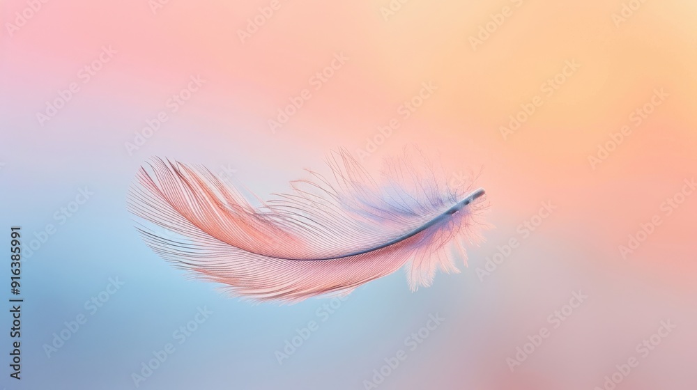 A simplicity-themed background with a single, delicate feather floating in mid-air against a soft, pastel-colored background, capturing the essence of lightness and minimalism A simplicity-themed background with a single, delicate feather floating in mid-air against a soft, pastel-colored background, capturing the essence of lightness and minimalism