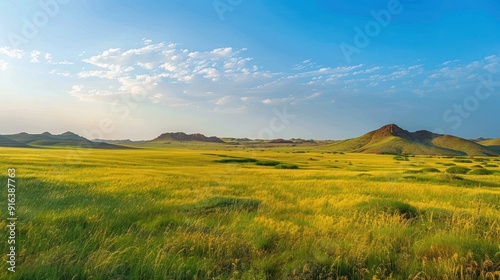 Expansive Grassland Under a Blue Sky: A Scenic Landscape in the American West.