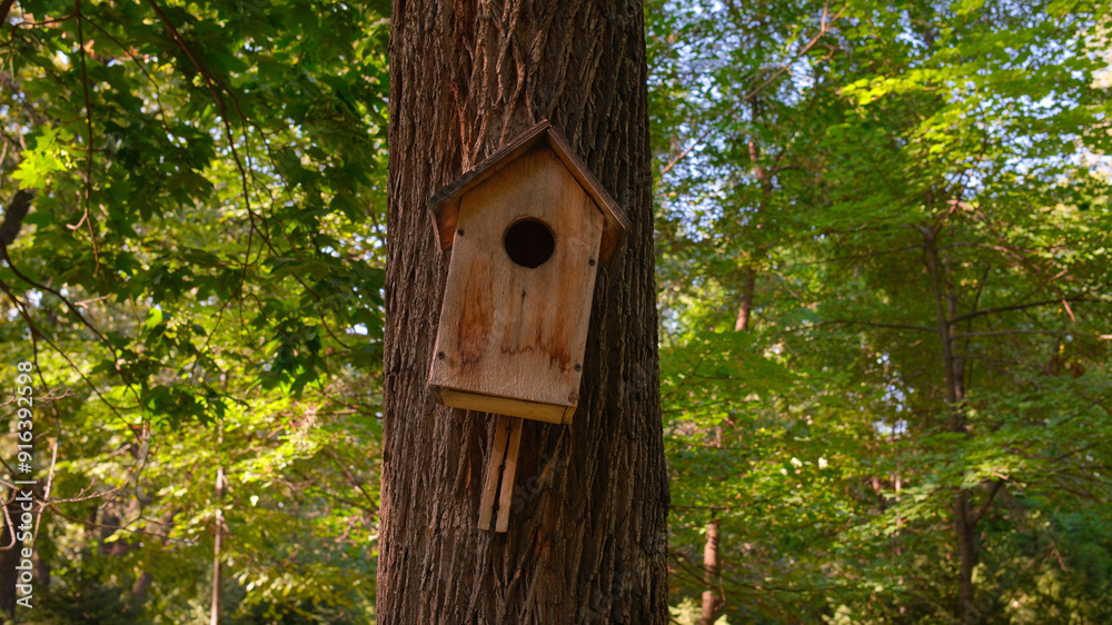 bird house on a tree in the park