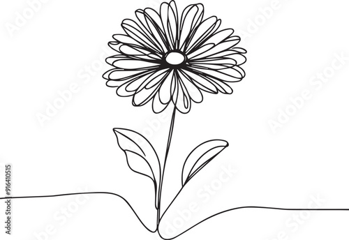 continuous one line drawing of daisy flower vector illustration