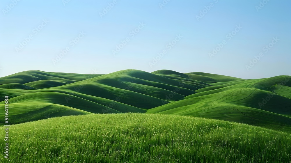 Expansive green hills with rolling landscapes on a clear backdrop for versatile designs Expansive green hills with rolling landscapes on a clear backdrop for versatile designs