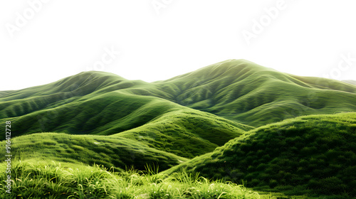 Emerald Serenity: Lush, rolling hills bathed in the golden glow of dawn, a tranquil landscape of vibrant green.