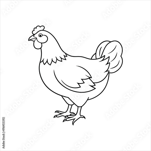 hen vector illustration