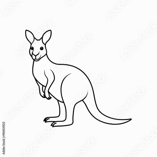 kangaroo with baby
