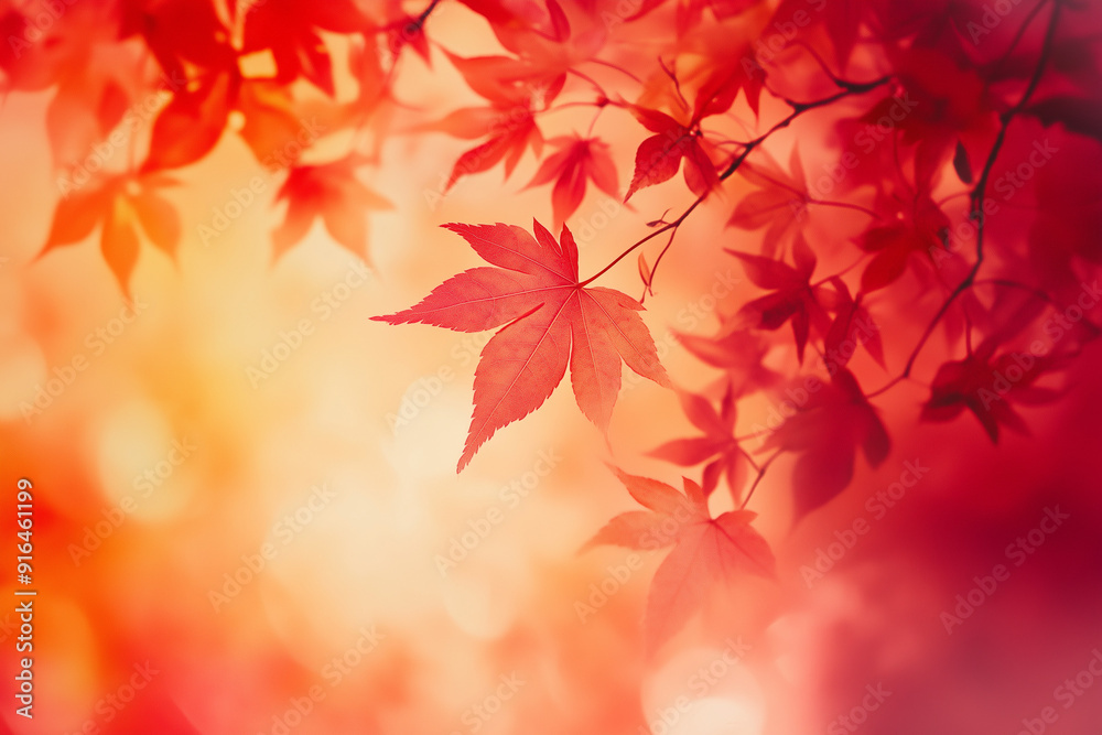 Red maple leaves, red background, red and yellow color scheme, autumn scenery Red maple leaves, red background, red and yellow color scheme, autumn scenery
