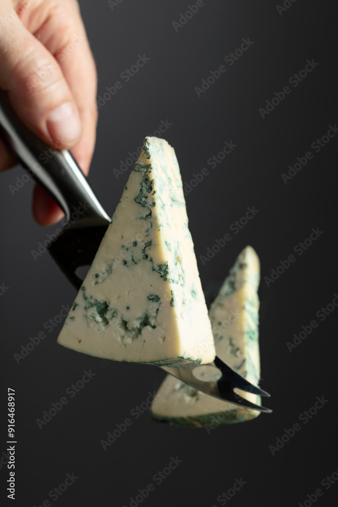 Cheese knife and piece of blue cheese. Cheese knife and piece of blue cheese.