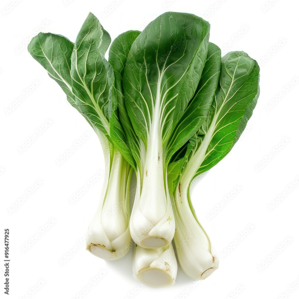Fresh Green Bok Choy Isolated on White Background. Fresh Green Bok Choy Isolated on White Background.