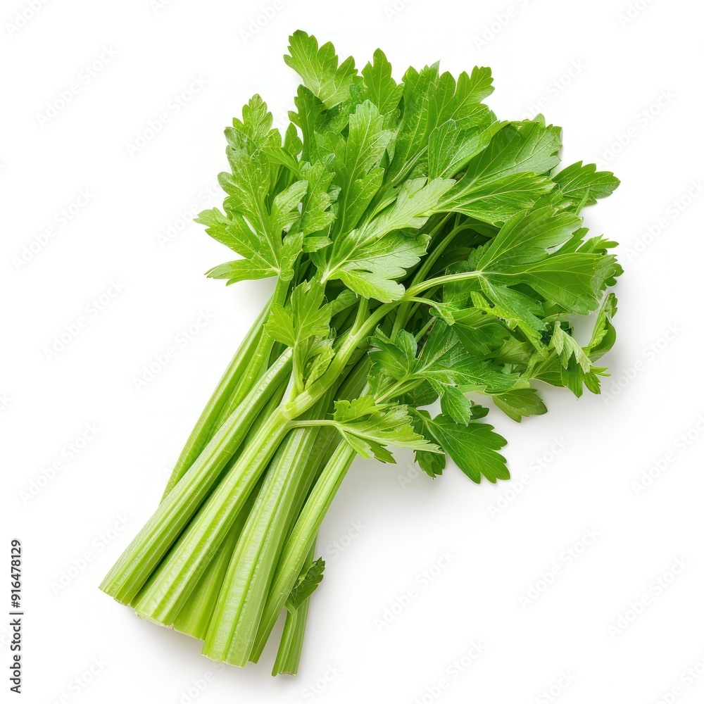 Fresh green celery stalks with leaves. Fresh green celery stalks with leaves.