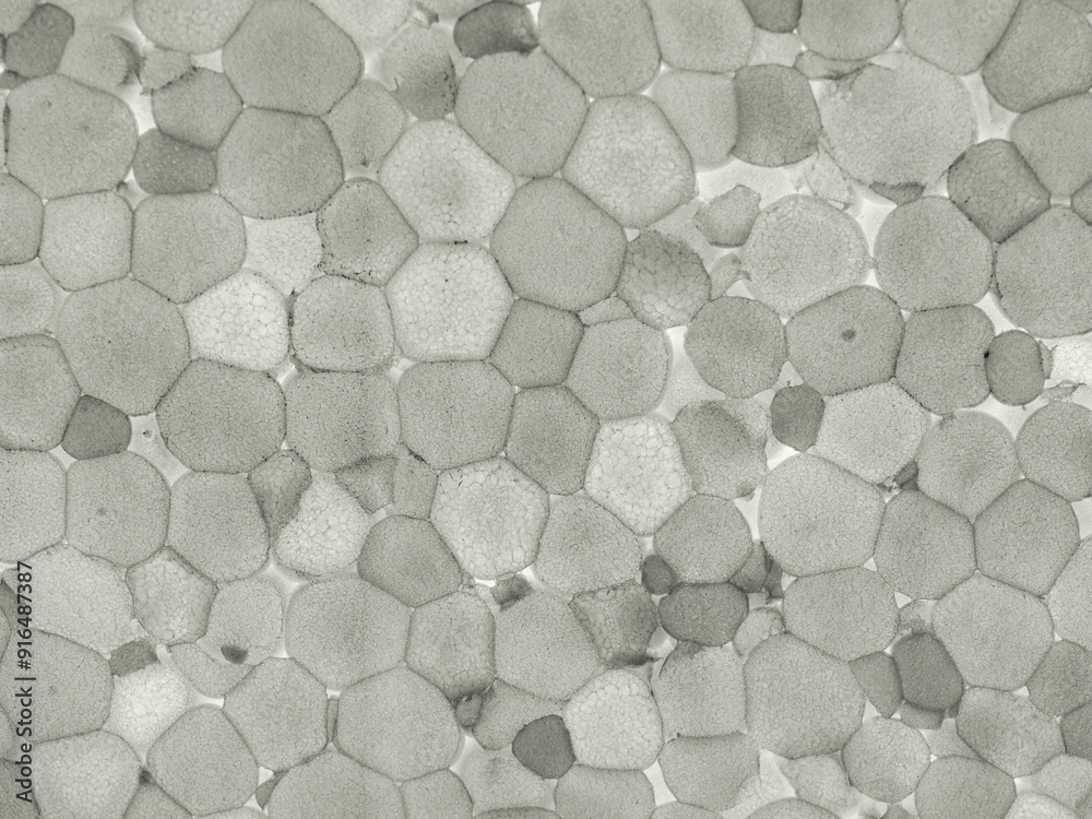 expanded polystyrene plastic texture background expanded polystyrene plastic texture background