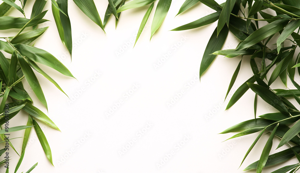 Fototapeta premium Abstract green bamboo leaves frame on white background, top view