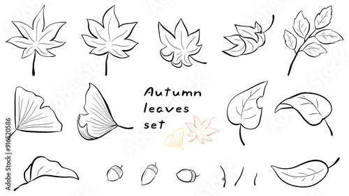 Autumn leaves, maple and ginkgo, simple hand drawn line drawing illustration set / 秋の葉っぱ、モミジやイチョウ、シンプルな手描きの線画イラストセット