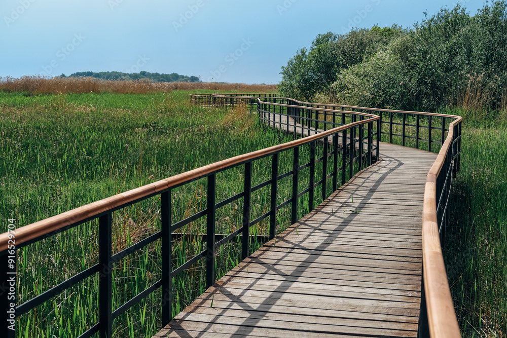 Eco path wooden walkway in Lukomorie, ecological trail path - route walkways laid in the forest, in St. Petersburg, Russia. 