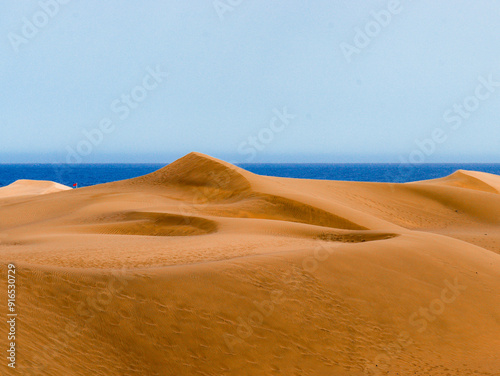 Fototapeta Naklejka Na Ścianę i Meble -  desert dune sahara sand gran canaria