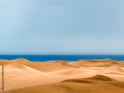 Fototapeta Naklejka Na Ścianę i Meble -  desert dune sahara sand gran canaria