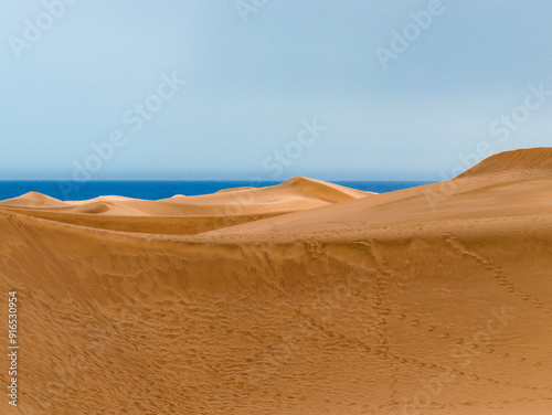 Fototapeta Naklejka Na Ścianę i Meble -  desert dune sahara sand gran canaria