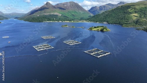 Fish Farming Aquaculture Nets Containing Farmed Fish