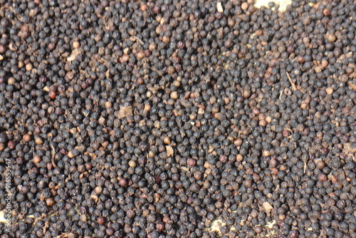 Black pepper background. black peppercorns spices. Macro spice background