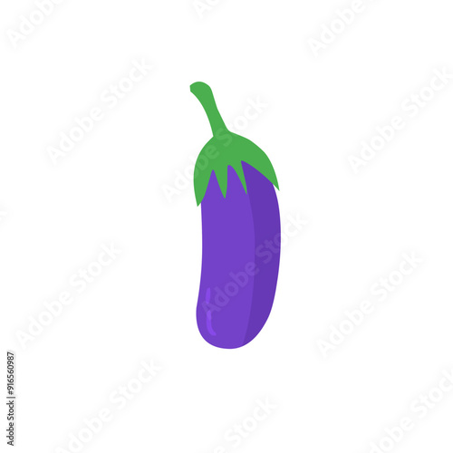 eggplant vector illustration