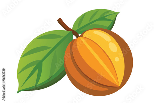 Chempedak Fruit flat vector illustration on white background.