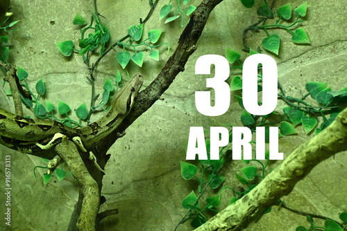 Tableau sur toile Calendar date on light green background with snake crawling on tree branch