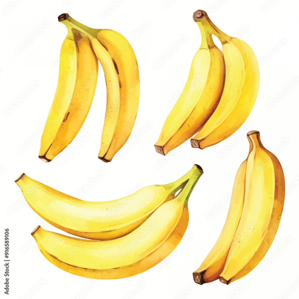 watercolor painting of banana watercolor painting of banana