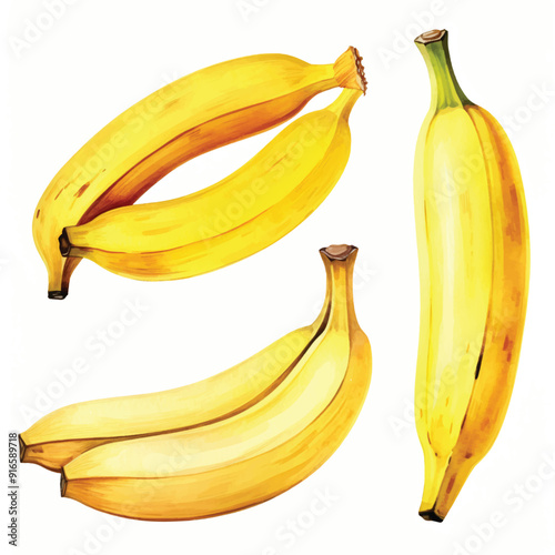 watercolor painting of banana