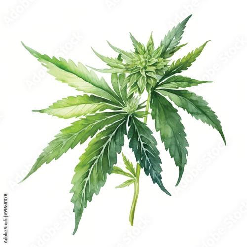 watercolor painting of cannabis