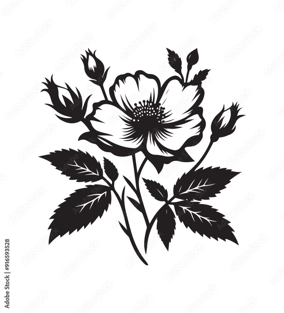 Fototapeta premium cherokee rose vector art graphic resources silhouette vector style, white background