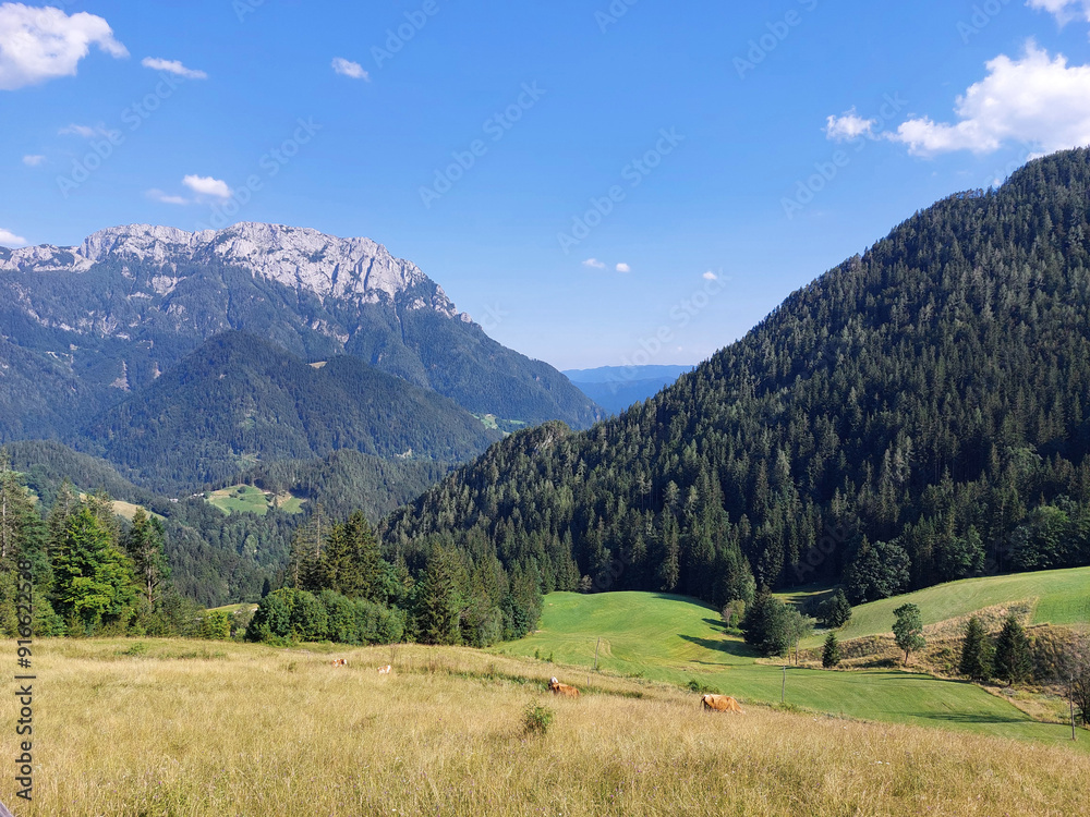 mountains of Kamnik–Savinja Alps. Green meadows. Nature of Slovenia under blue sky. mountains of Kamnik–Savinja Alps. Green meadows. Nature of Slovenia under blue sky.