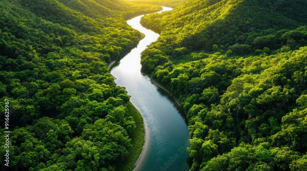 River Winding Through Lush Green Forest.