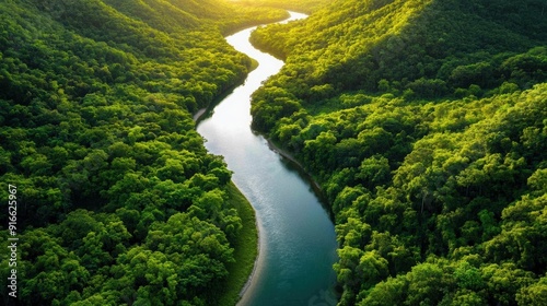 River Winding Through Lush Green Forest.