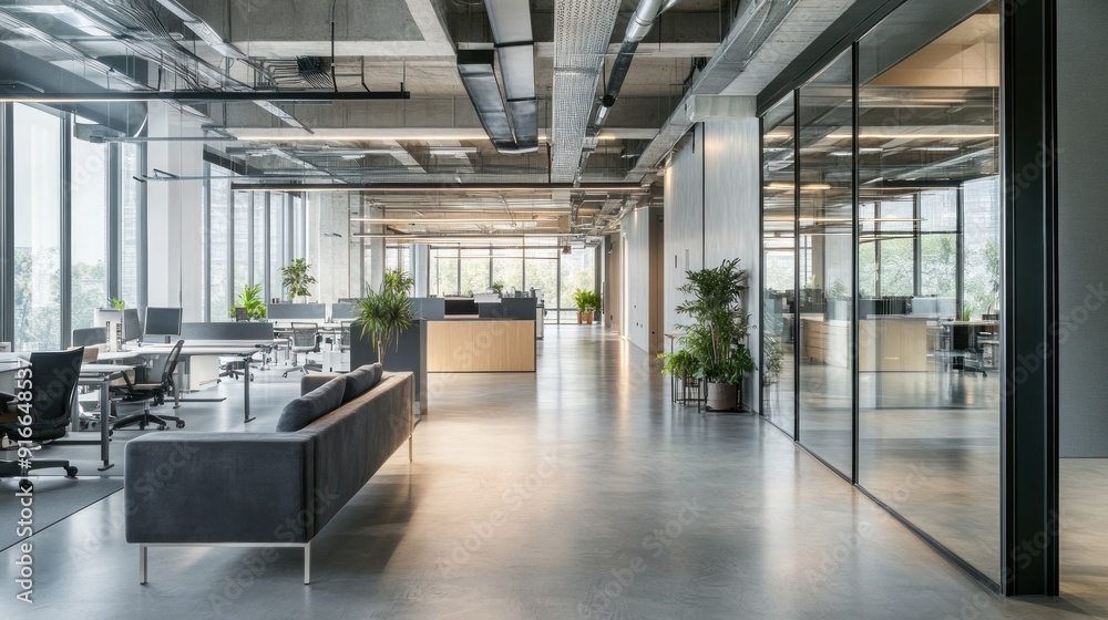 Modern Office Interior with Glass Walls and Gray Sofa Modern Office Interior with Glass Walls and Gray Sofa