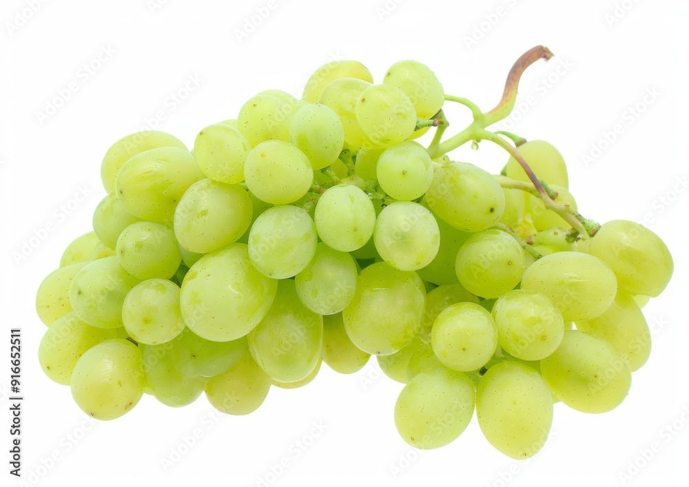 Bunch of green grapes on a white isolated background Bunch of green grapes on a white isolated background