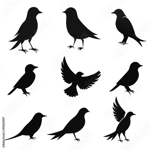 Bird's silhouettes vector illustration on a white background