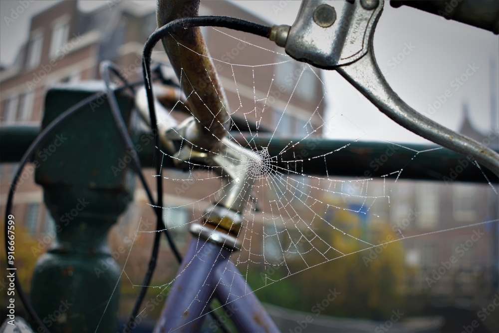 Obraz premium Raindrops Webbed Bike