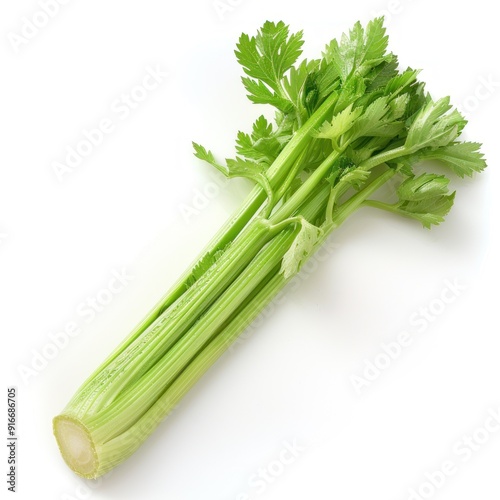 Fresh green celery stalks with leaves isolated on white background.