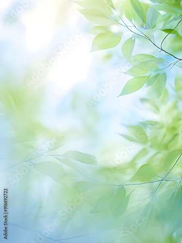 Wallpaper Mural blue sky through green leaves of trees Torontodigital.ca