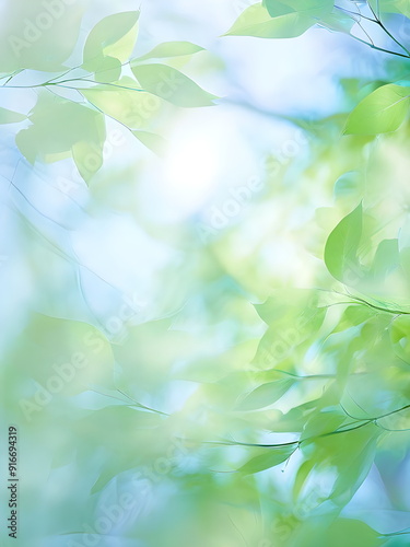 blue sky through green leaves of trees