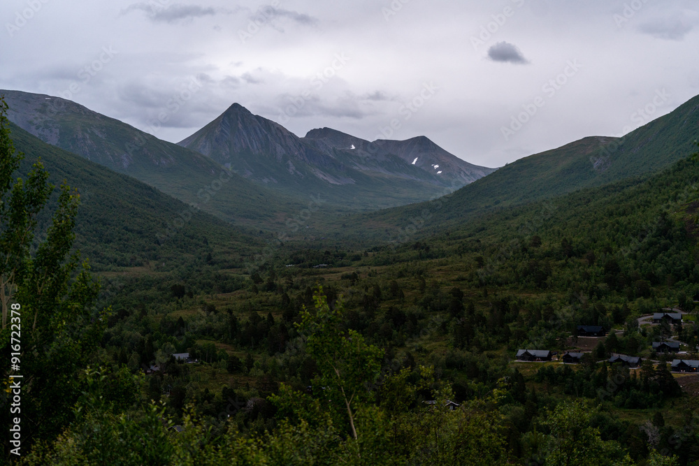 Fototapeta premium trail in Andalsnes Isfjorden fjord in Norway in the woods on summer evening